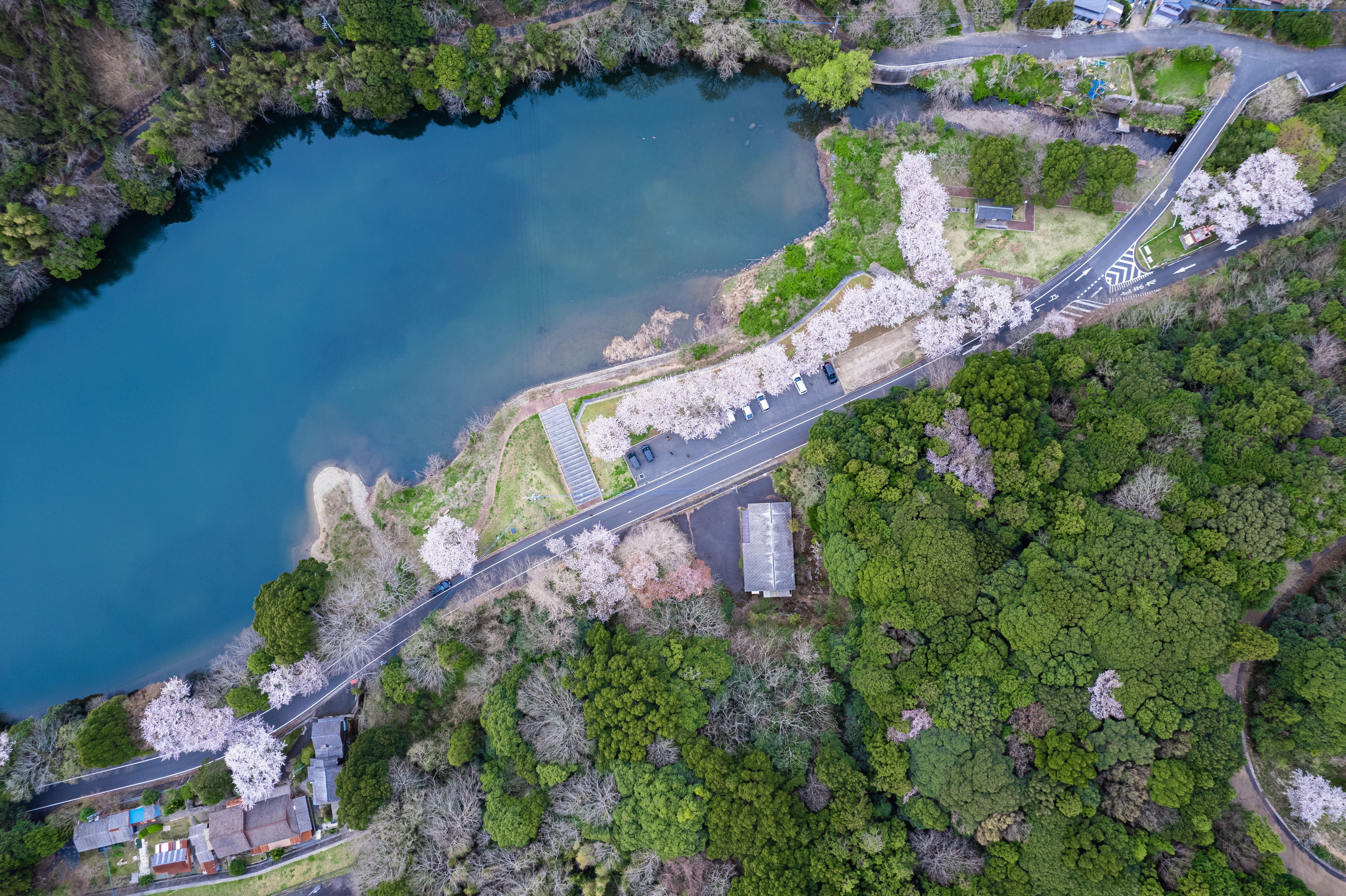 俯瞰して見るダム湖の無料の写真素材 - ID.84962｜フリー素材 ぱくたそ