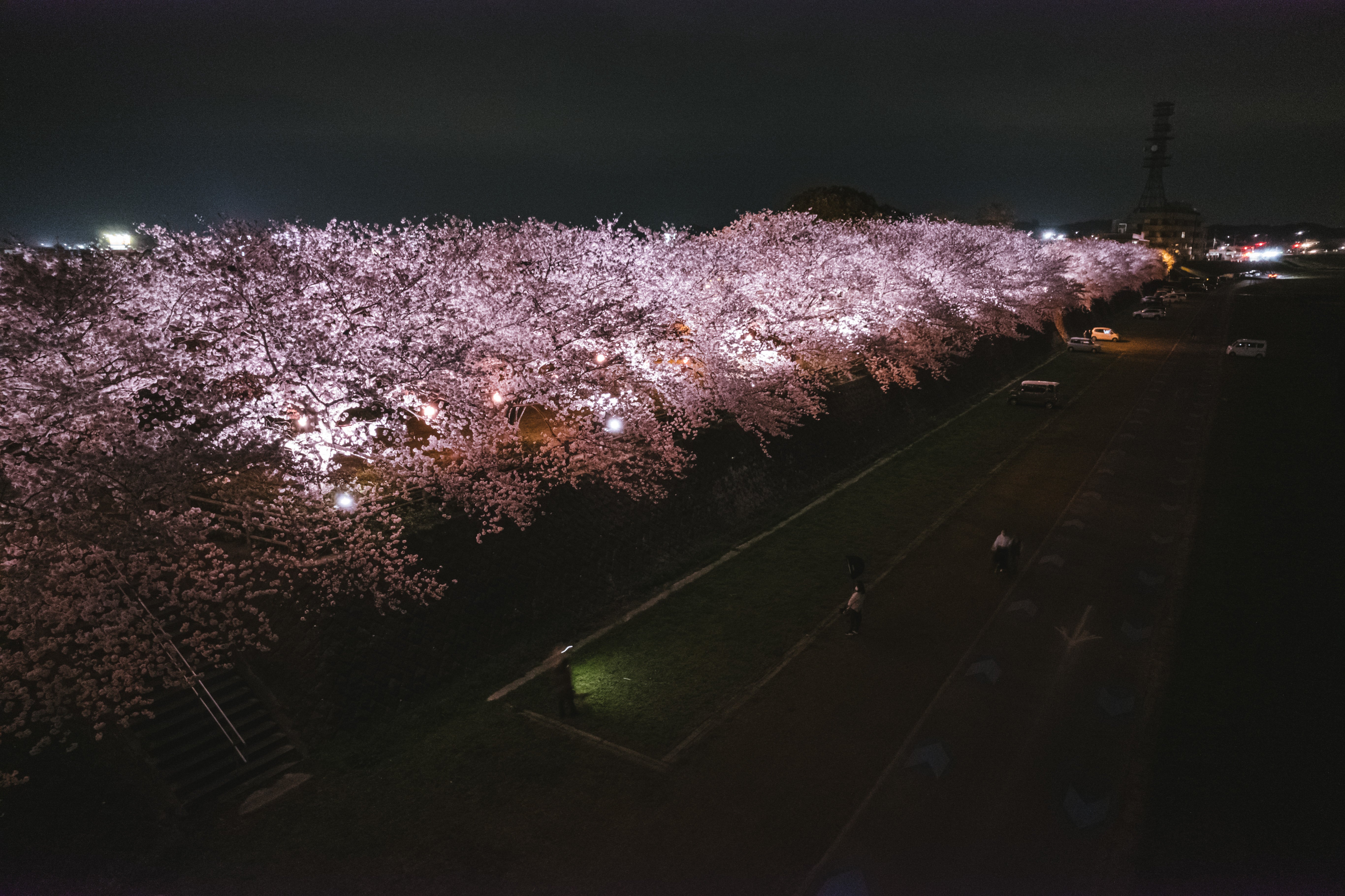 noogata-shikunDJI_03712741.jpg