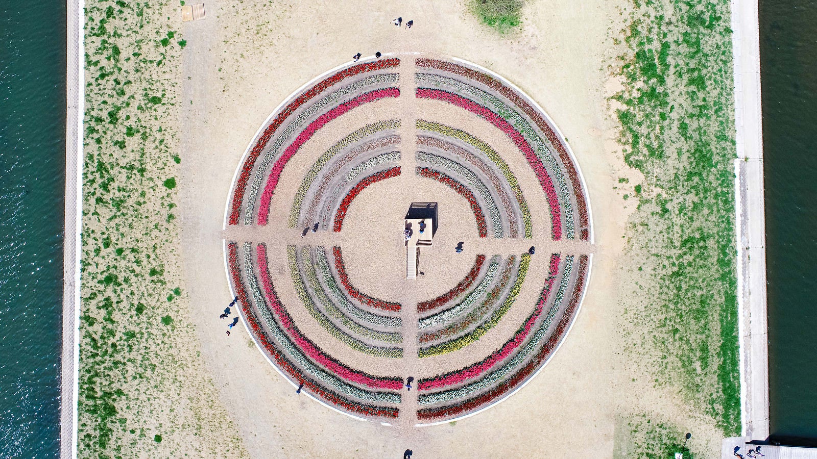 「直方市チューリップフェアの円形花壇の様子」の写真