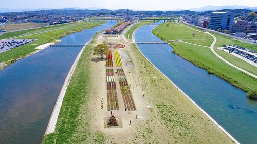遠賀川と彦山川が合流する河川敷とチューリップフェア2022の写真