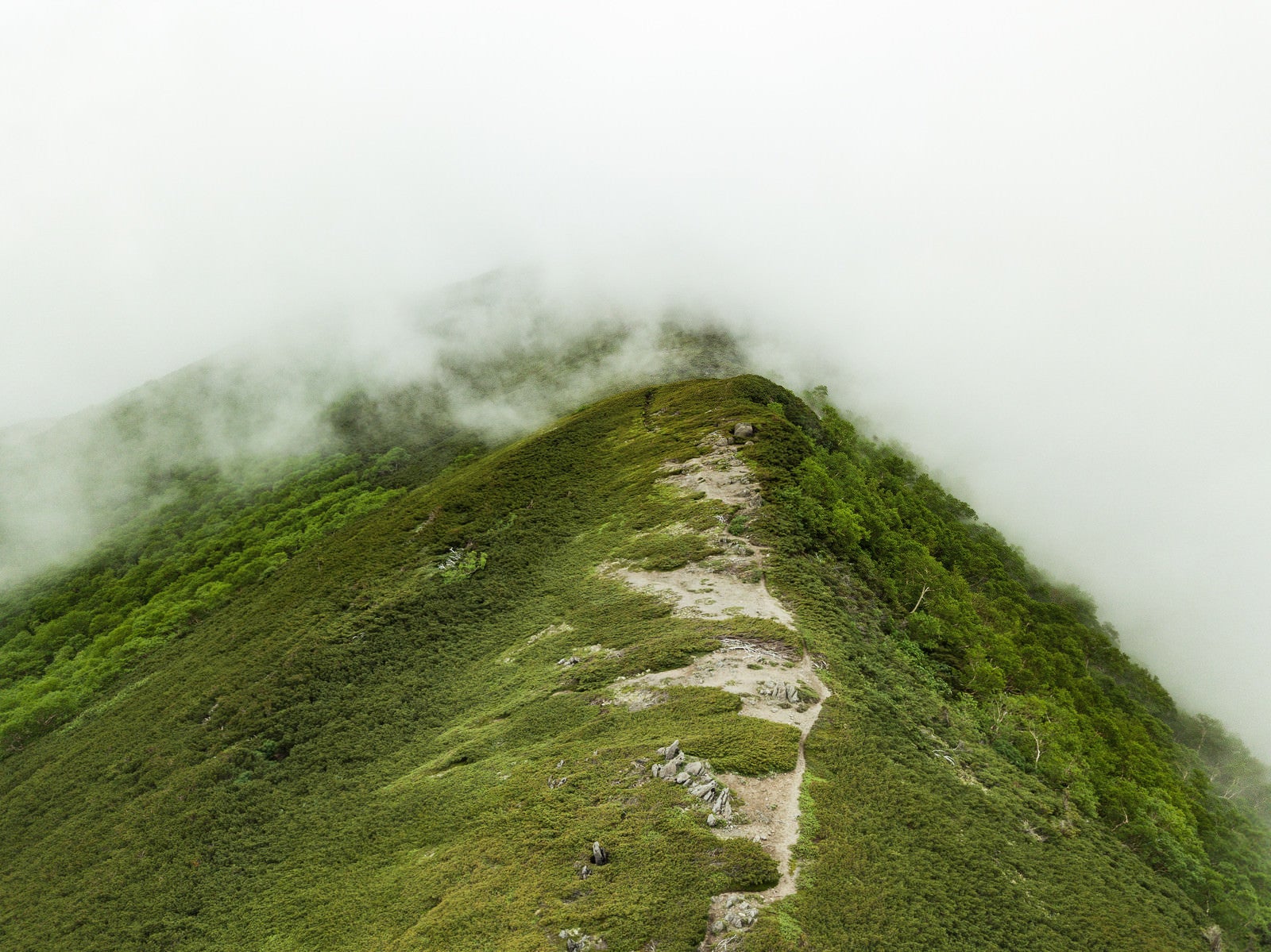 「霧雲のかかる山（乗鞍新登山道）」の写真