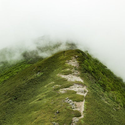 霧雲のかかる山（乗鞍新登山道）の写真