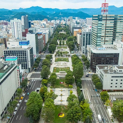 俯瞰して見る札幌大通りの写真