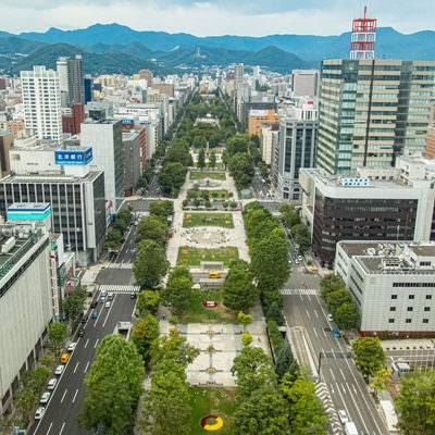 札幌の中心に位置する札幌大通りの写真