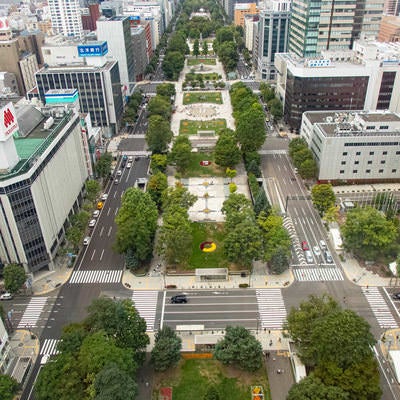 札幌大通りを取り囲む風景の写真