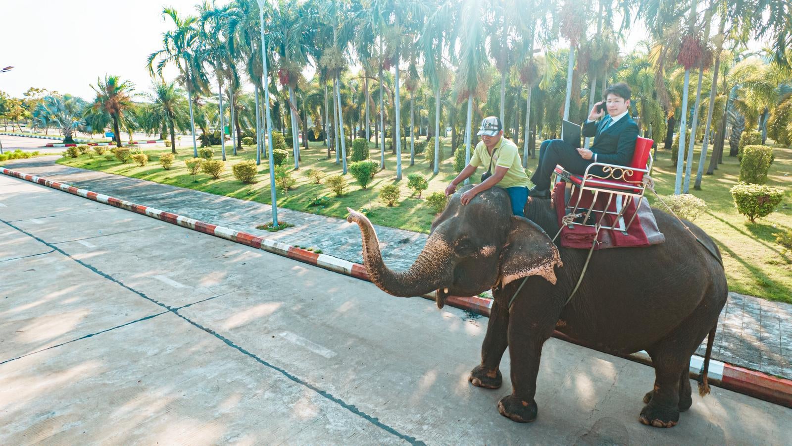 「代車が像だったんで遅れます！」の写真［モデル：野崎繁裕］