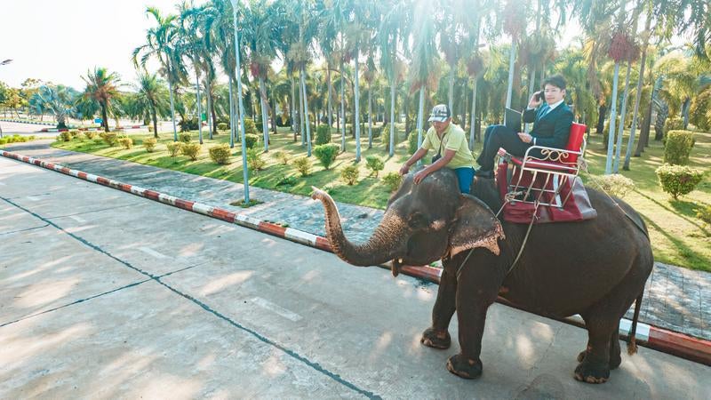 代車が像だったんで遅れます！の写真