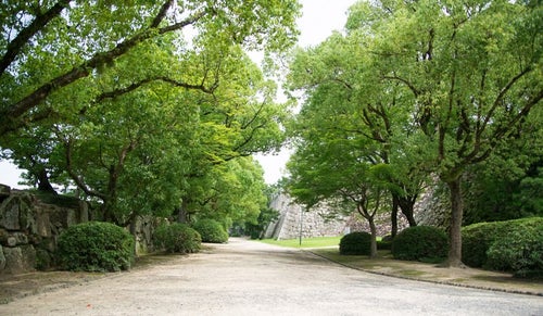 岡山城の石垣と脇の道の写真