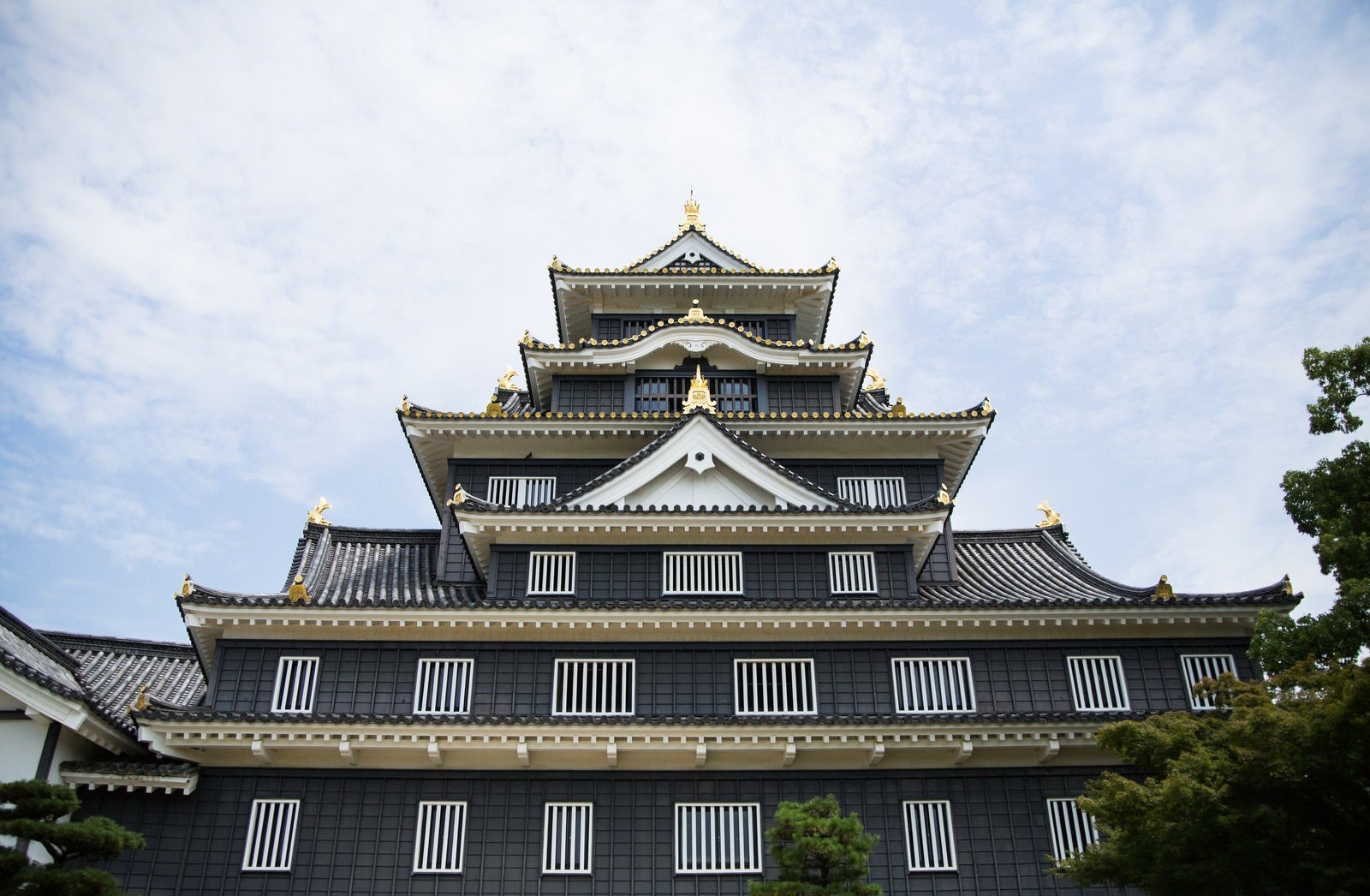 「漆黒の城､岡山城」の写真