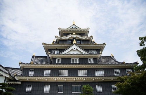 漆黒の城､岡山城の写真
