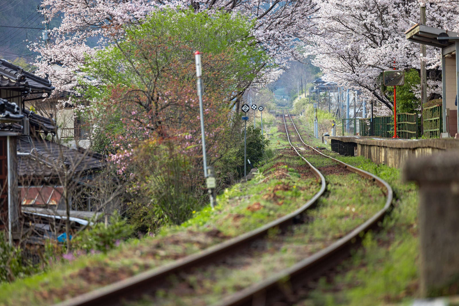 「因美線の線路と三浦駅のホーム前」の写真
