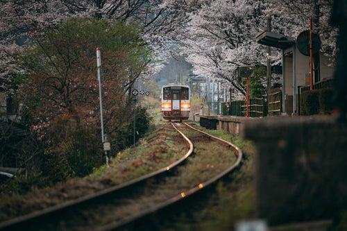 桜咲く三浦駅と因美線の車両の写真