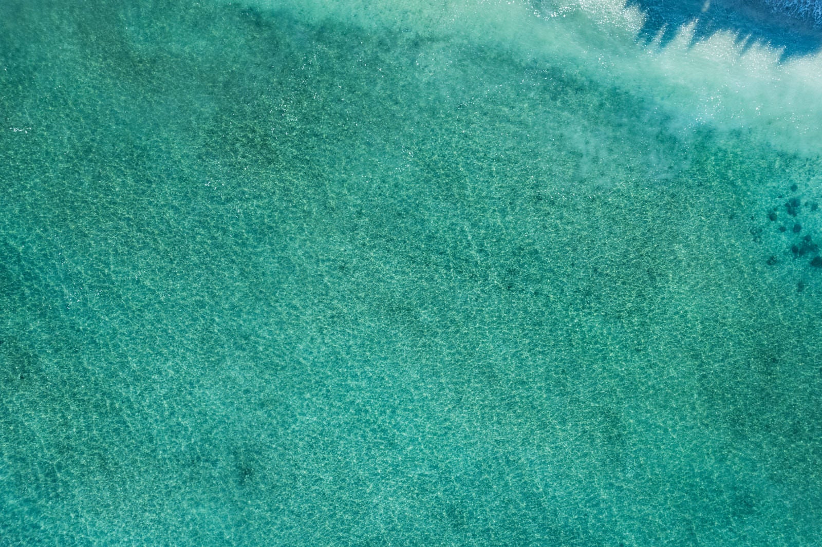 「青く澄んだ海」の写真