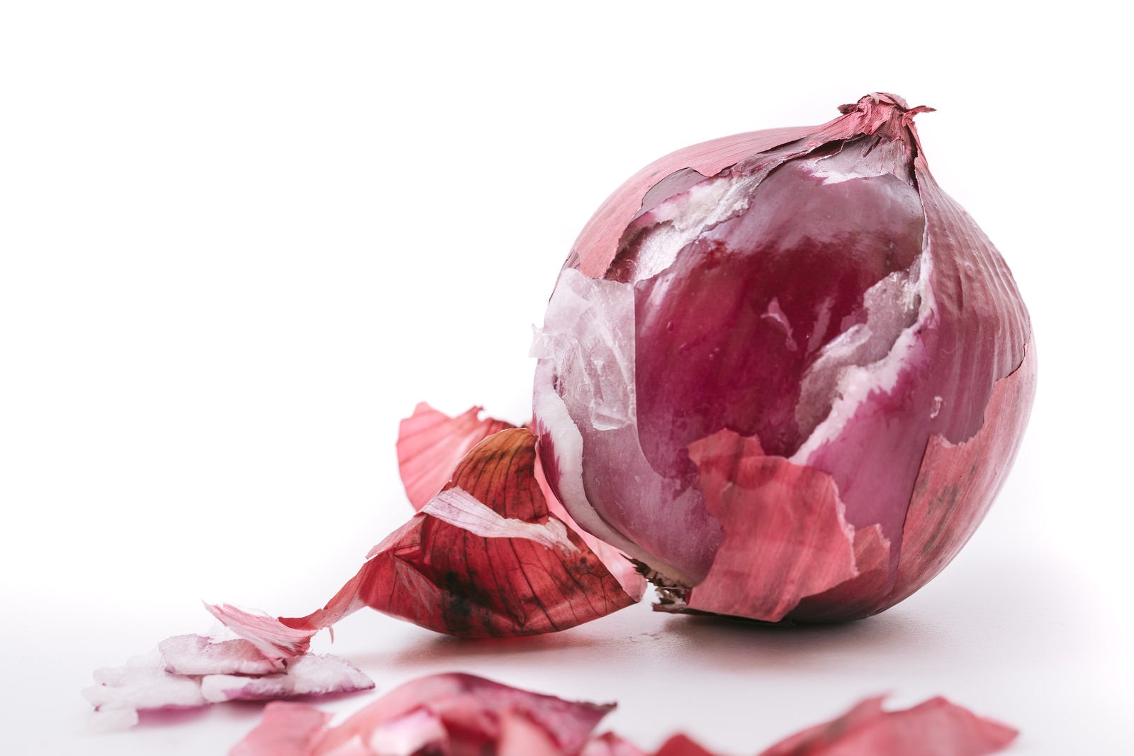 「表皮を剥かれたボロボロな紫玉葱」の写真