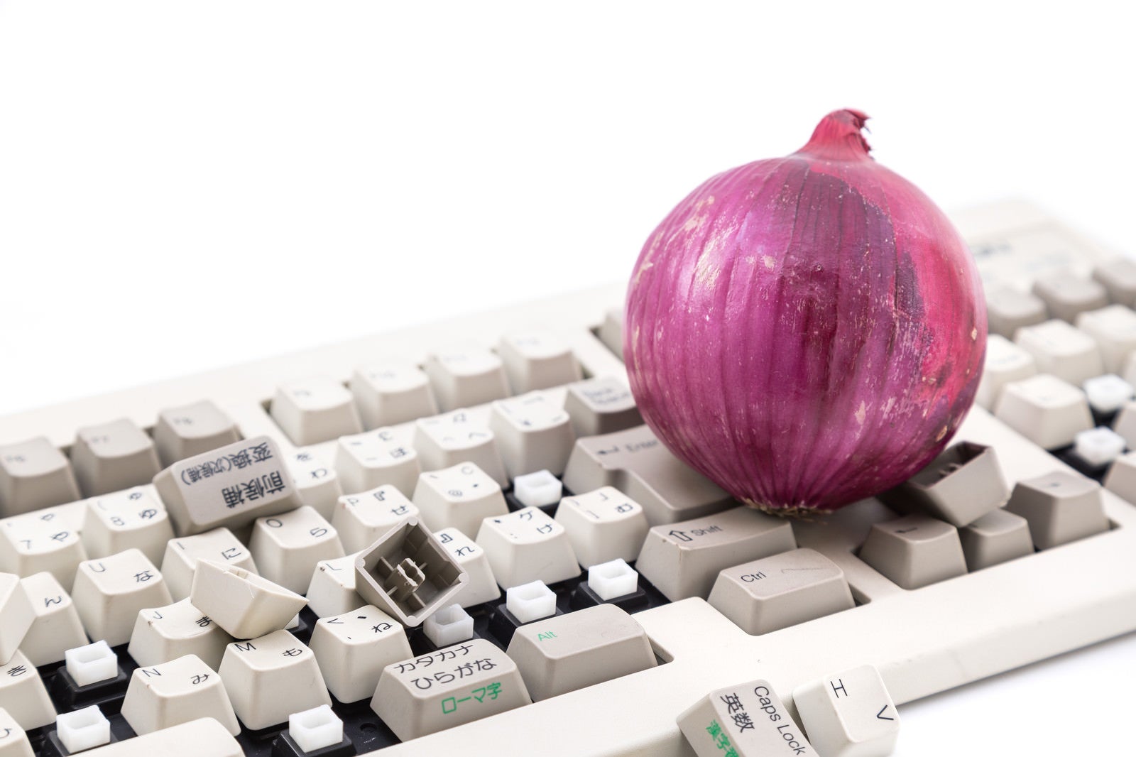 「紫玉葱と操作出来なくなったキーボード」の写真