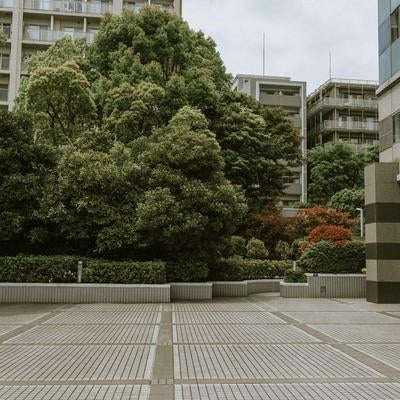 緑がある広場の写真