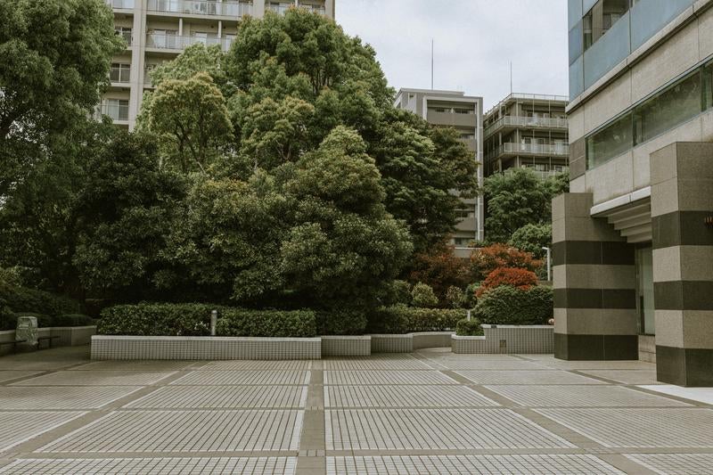 緑がある広場の写真