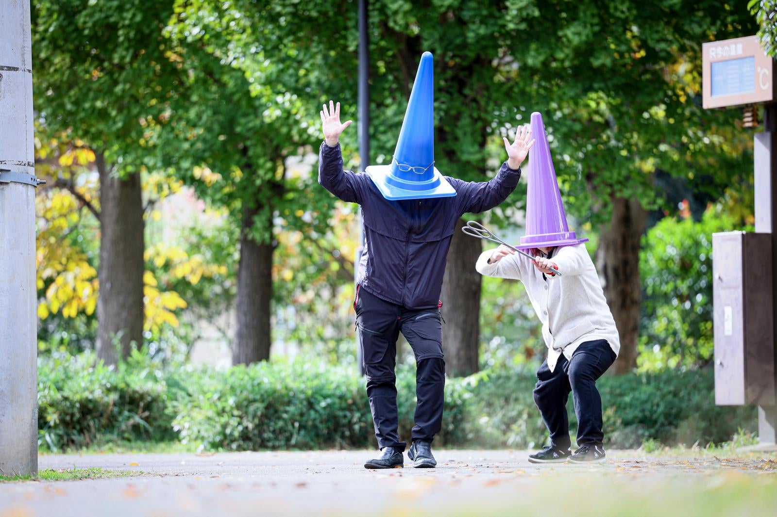 「引っこ抜かれて、あなただけについて行く」の写真