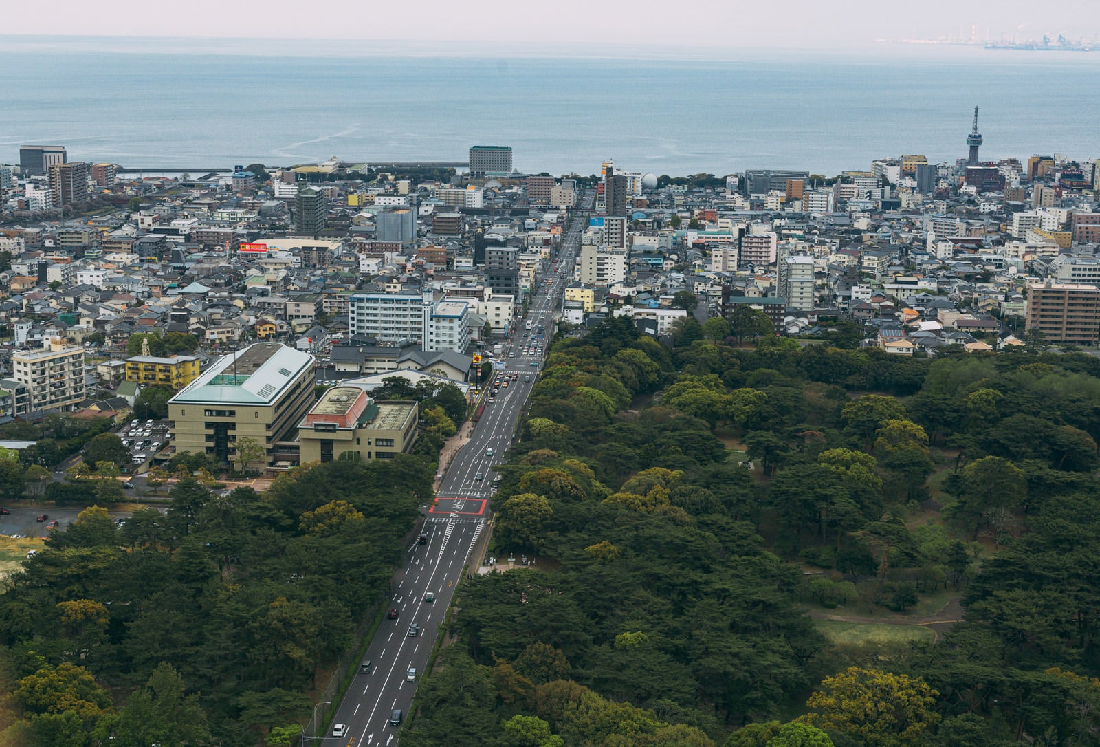 「別府グローバルタワーからの富士見通り（東側）の眺め」の写真