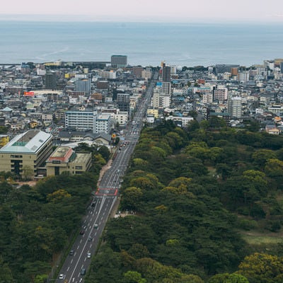 別府グローバルタワーからの富士見通り（東側）の眺めの写真