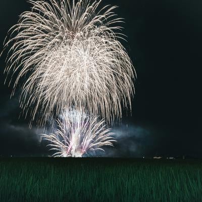 広角レンズに入りきれないほどの大きさで打ち上げられたフィナーレの花火（おおたま夏祭り）の写真