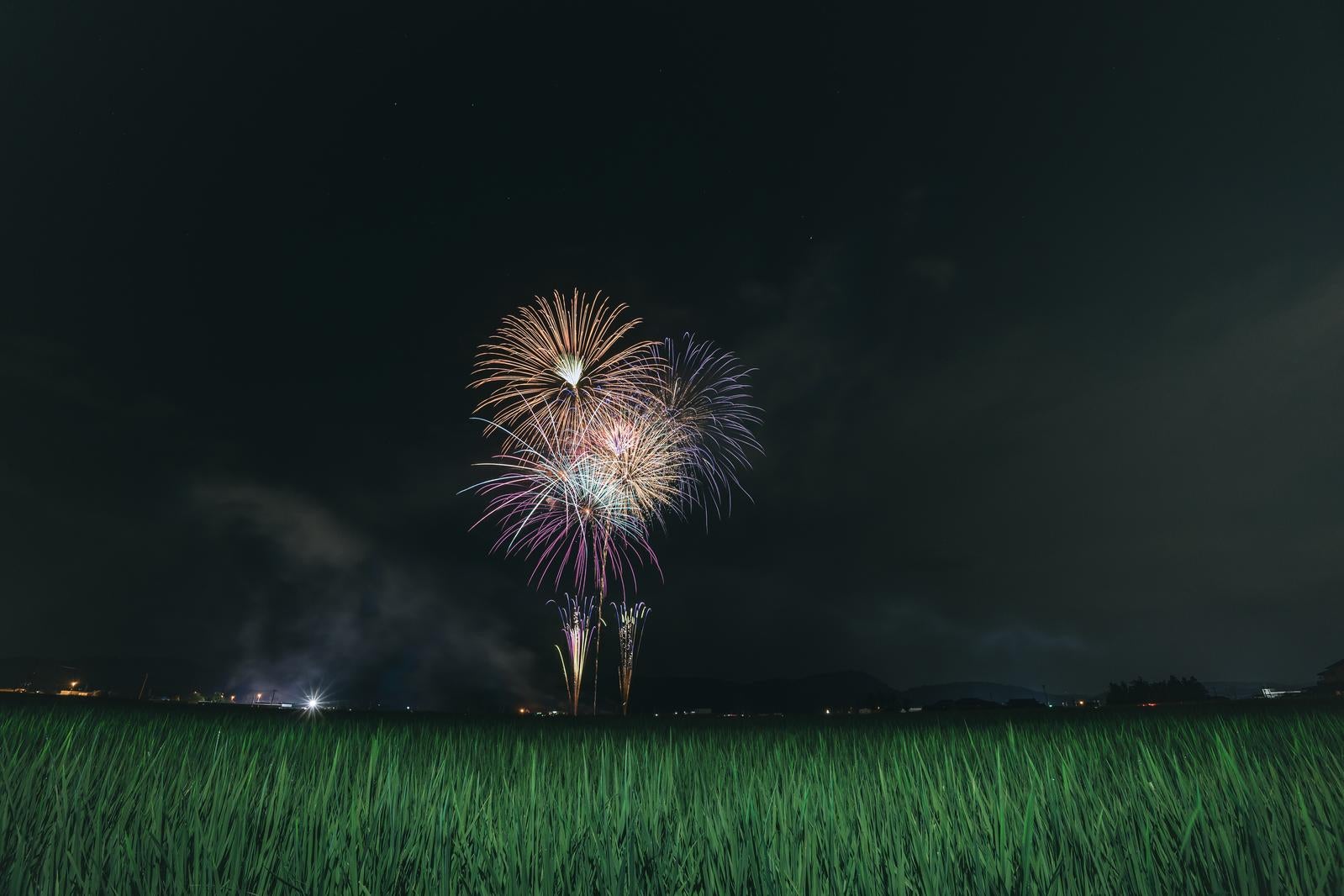 「一面の田んぼと中央から打ち上げられた花火（おおた夏祭り）」の写真
