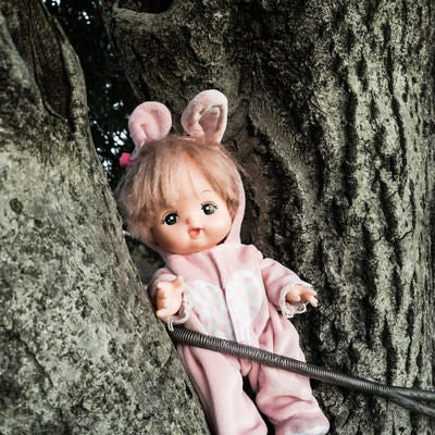木にくくりつけられた人形の写真