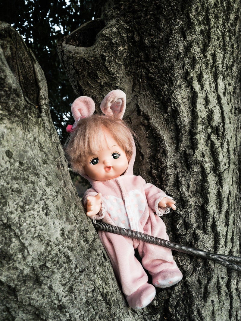 「木にくくりつけられた人形」の写真