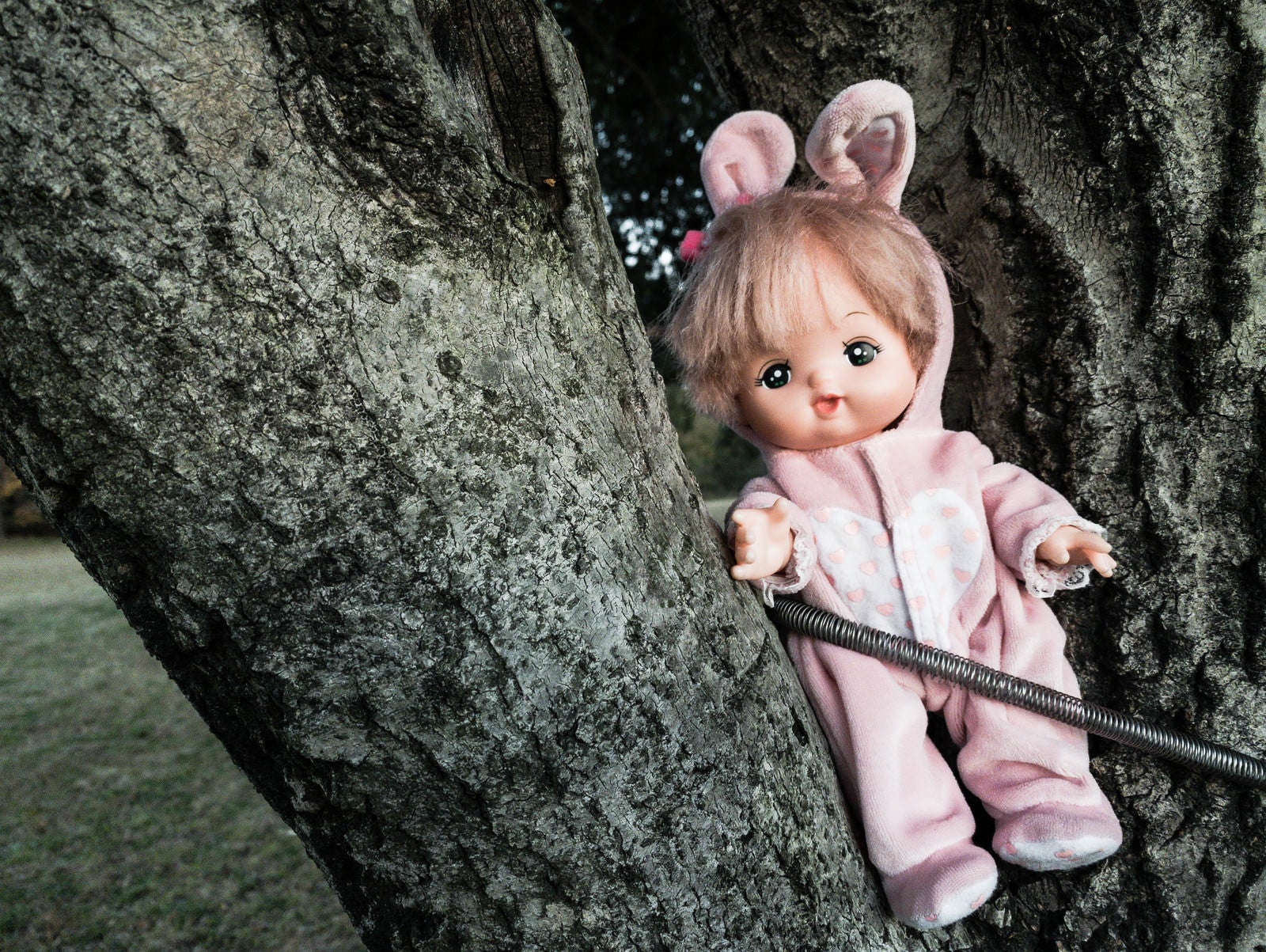 「子供が落とした人形」の写真