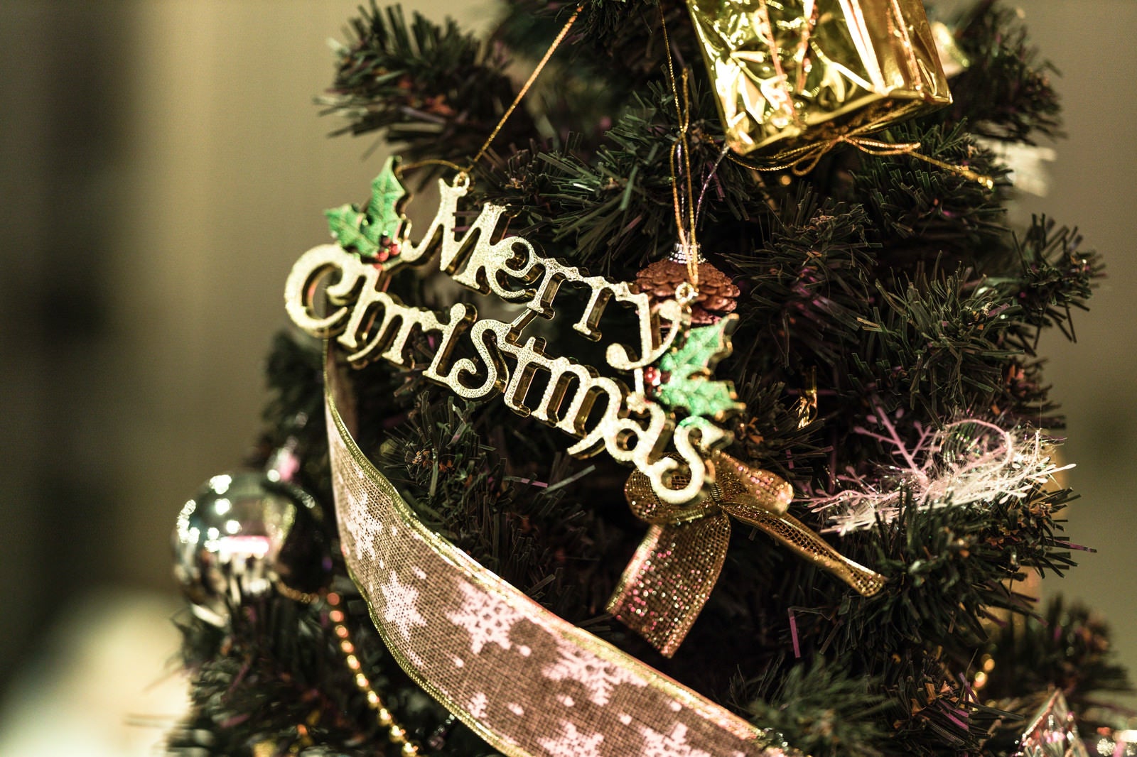 「Merry Christmas Tree」の写真