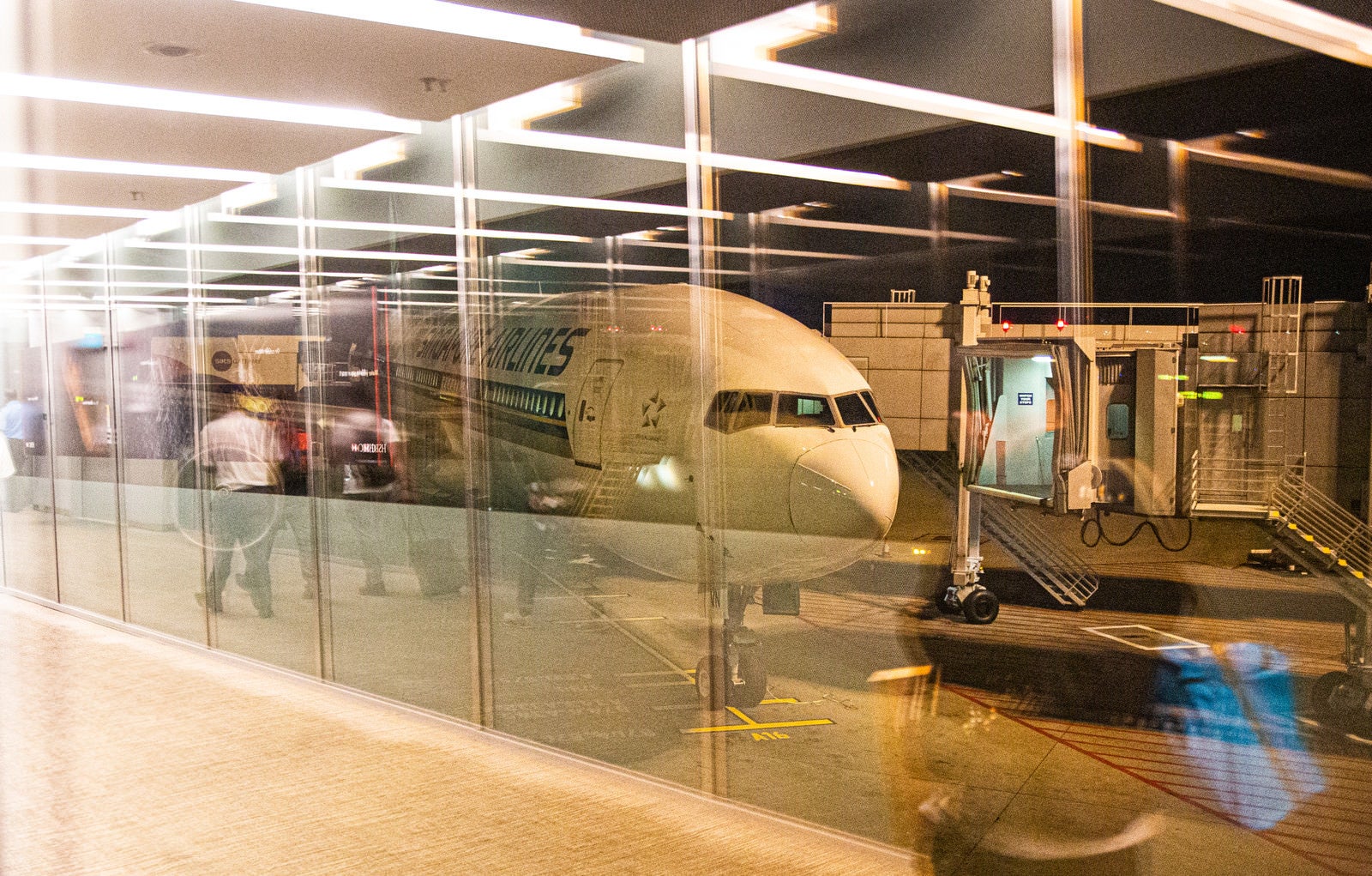 「ガラスに映り込む旅行者と旅客機」の写真