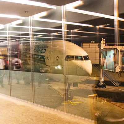 ガラスに映り込む旅行者と旅客機の写真