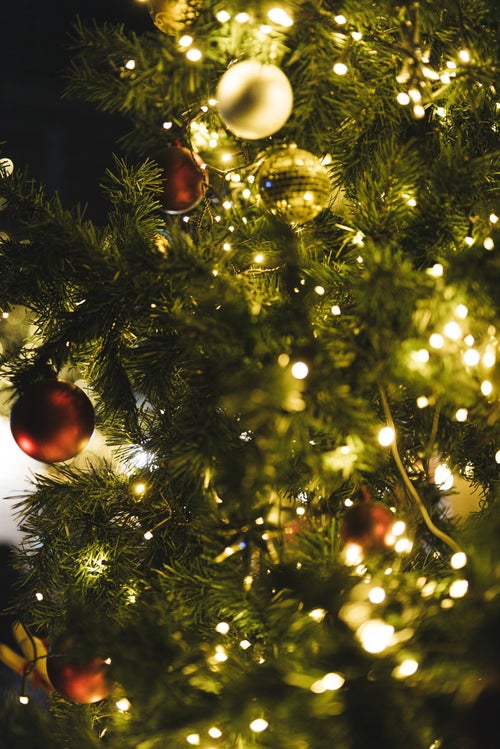電飾とクリスマスツリーの写真
