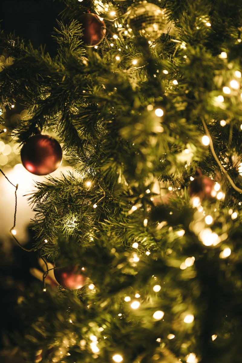 「ライトアップしたクリスマスツリー」の写真