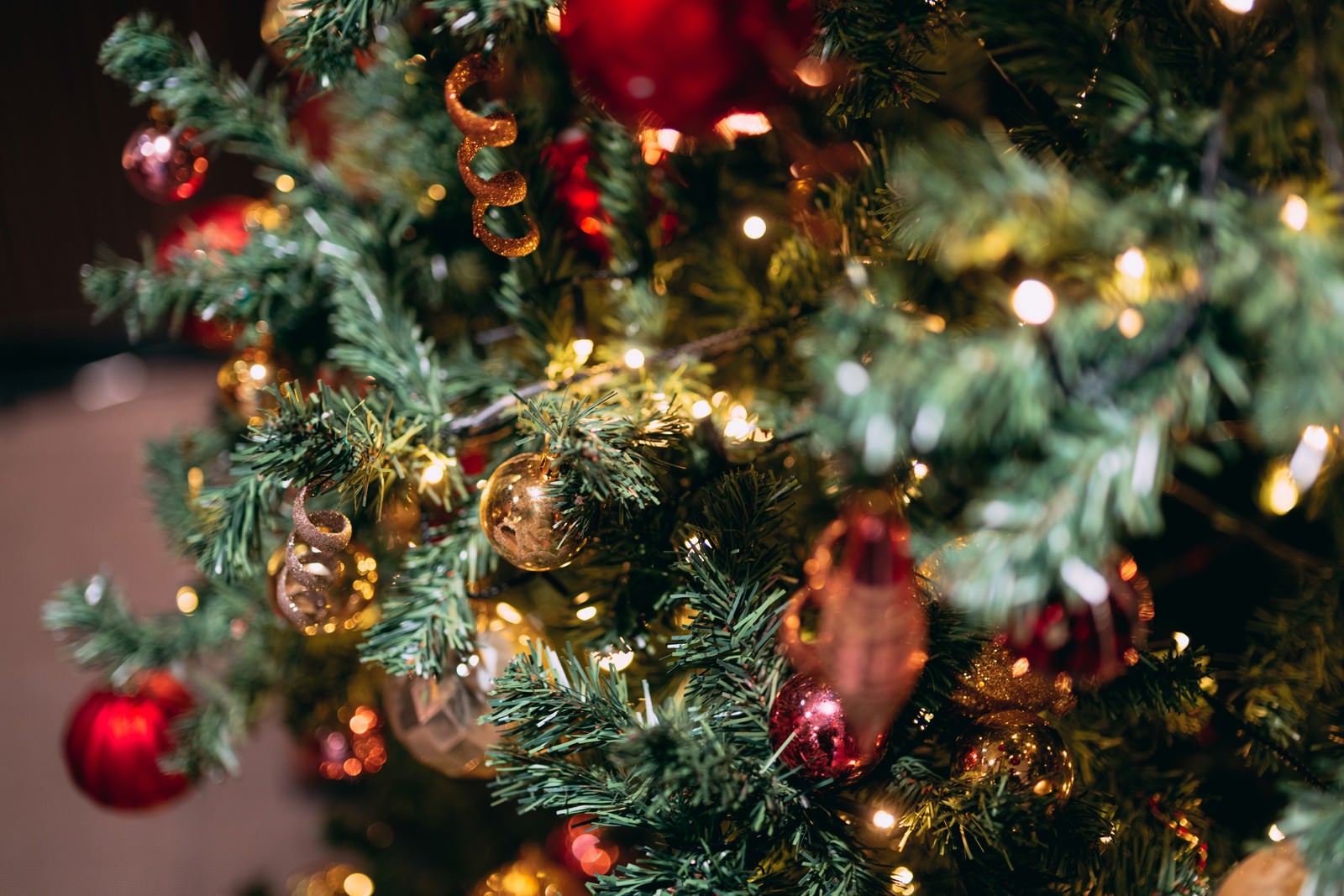 「クリスマスツリーと飾り」の写真