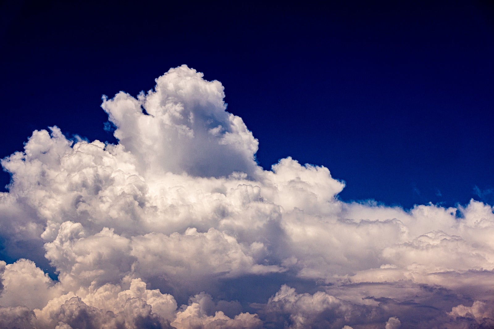 「ひと雨きそうな積乱雲」の写真
