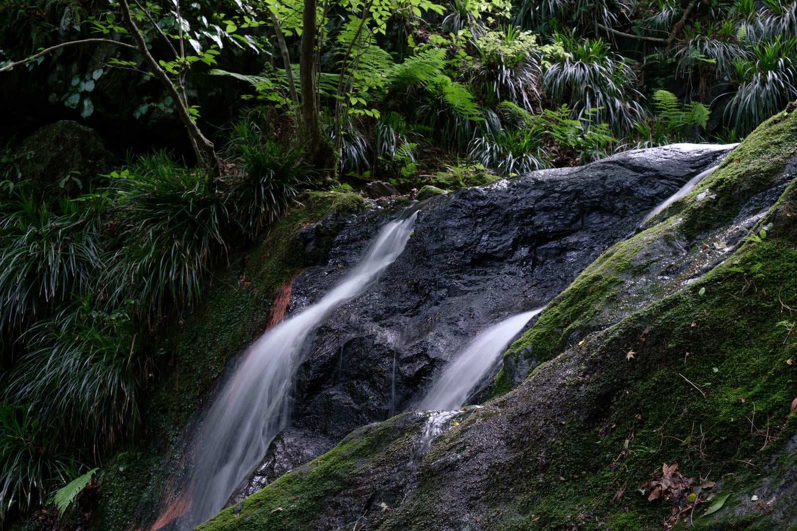 「岩を削る滝の流れ」の写真