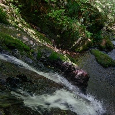 岩場を流れるきれいな水の写真