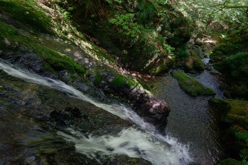 岩場を流れるきれいな水の写真