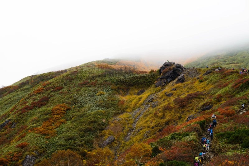 黄葉する秋の谷川岳と登山者の姿の写真