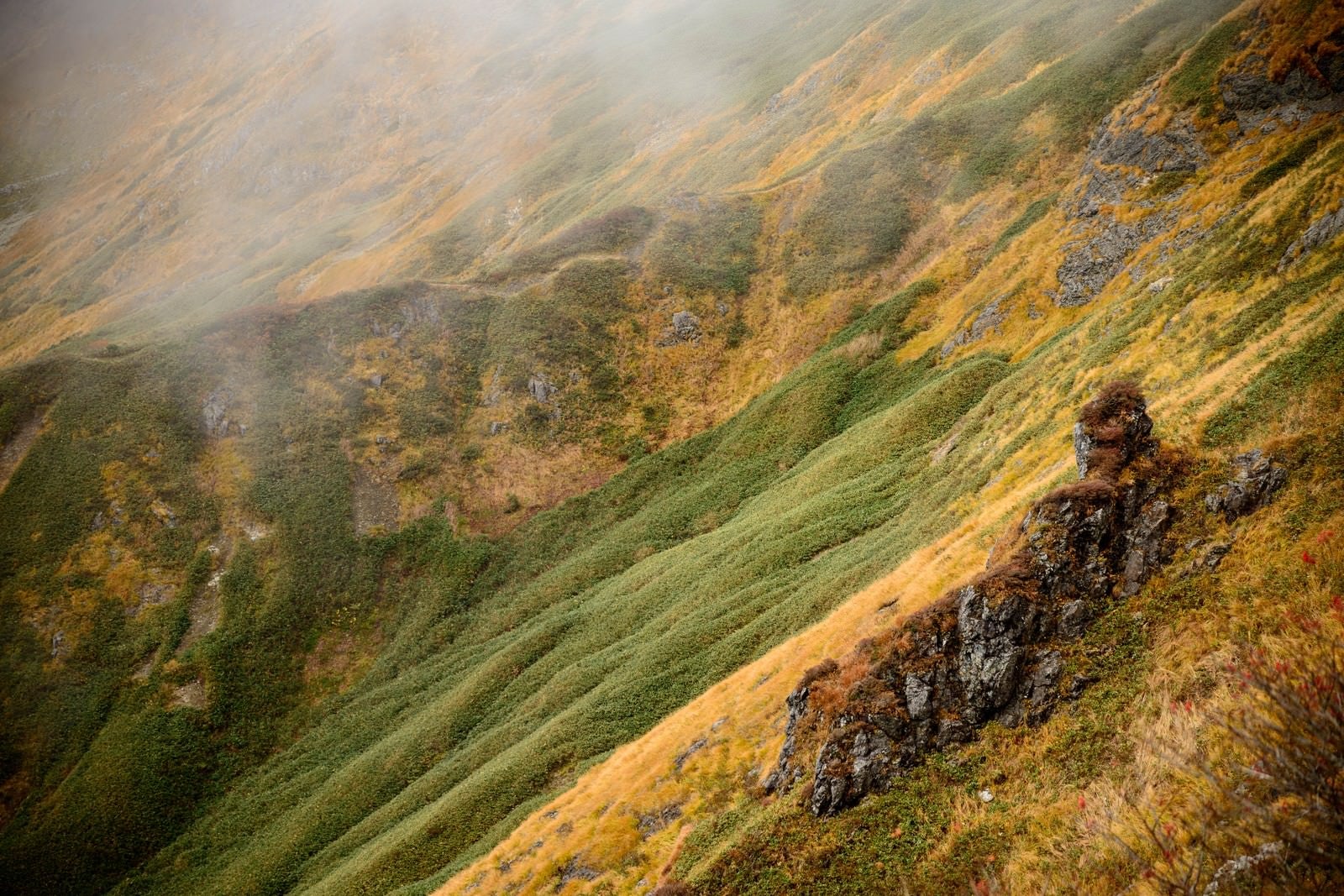「霧が駆る秋の谷川岳の山肌」の写真