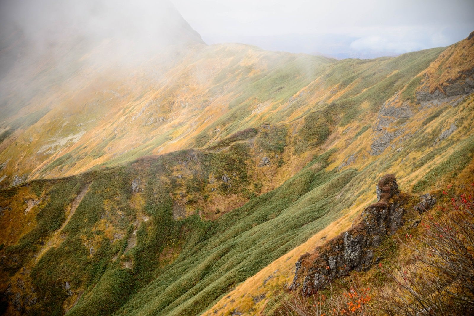 「沸き立つガスと黄葉する秋の谷川岳」の写真