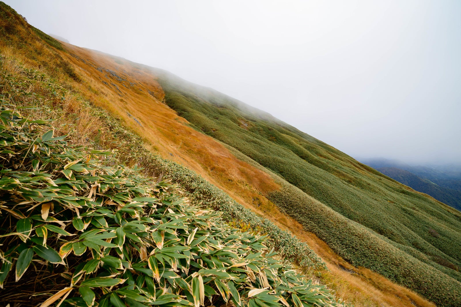 「秋色の谷川岳斜面」の写真