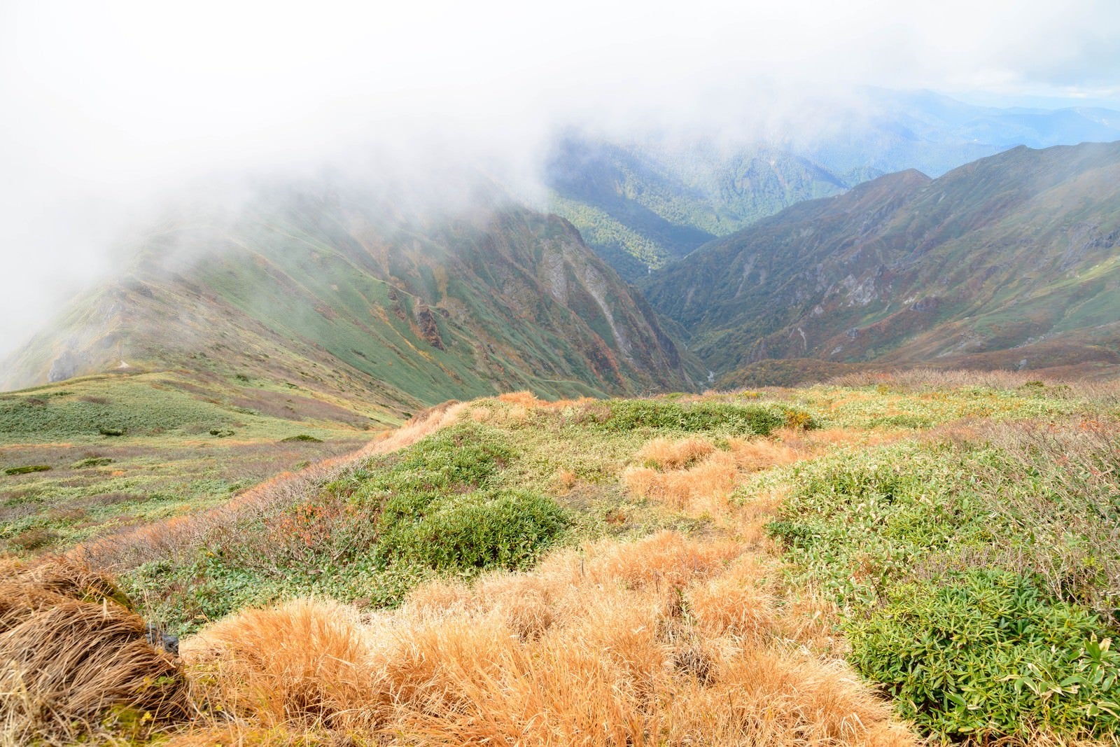 「沸き立つ霧と秋の谷川岳に見る枯れ草」の写真