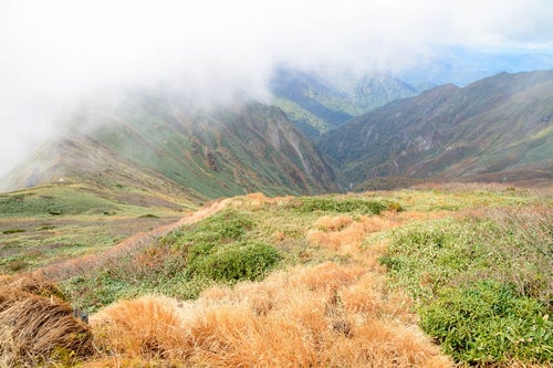 沸き立つ霧と秋の谷川岳に見る枯れ草の写真