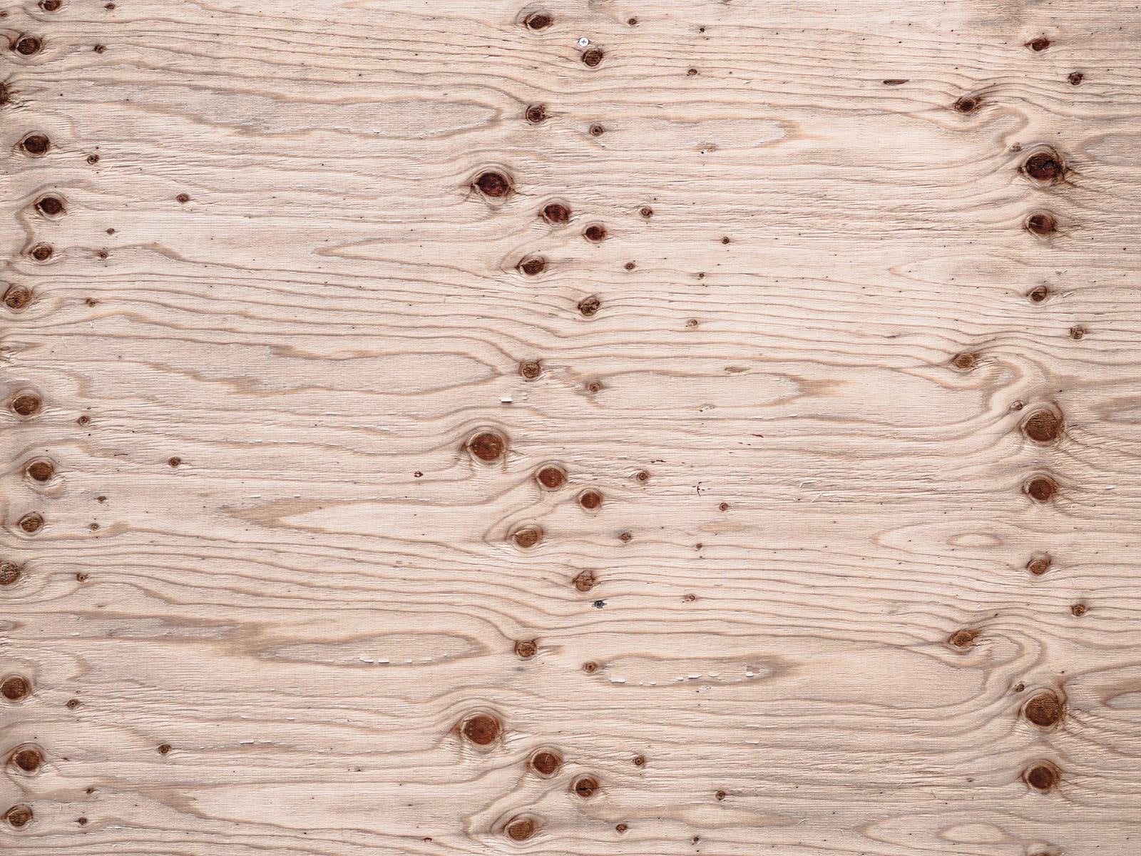 「節が並ぶ木材のテクスチャー」の写真