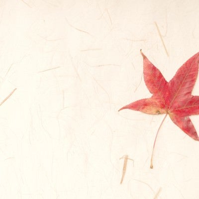 秋の素材に和紙と紅葉の写真
