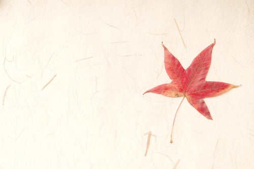 秋の素材に和紙と紅葉の写真