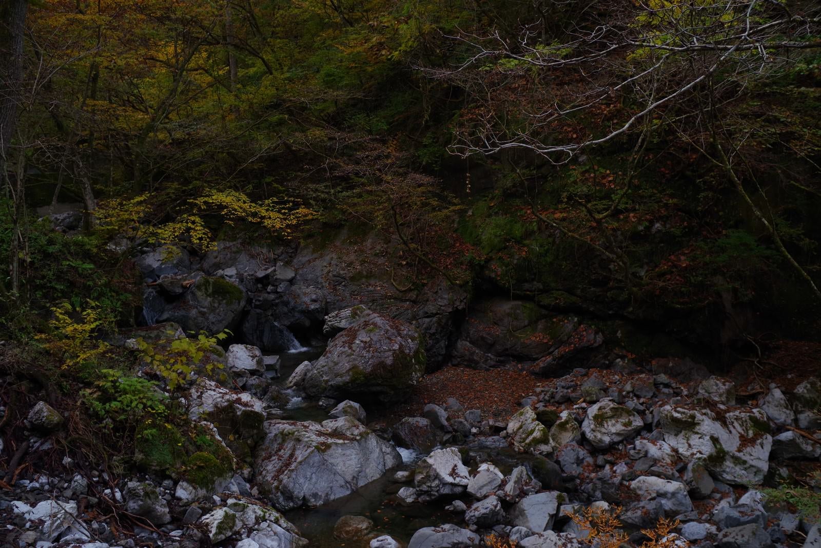 「紅葉がはじまる奥多摩の渓谷」の写真