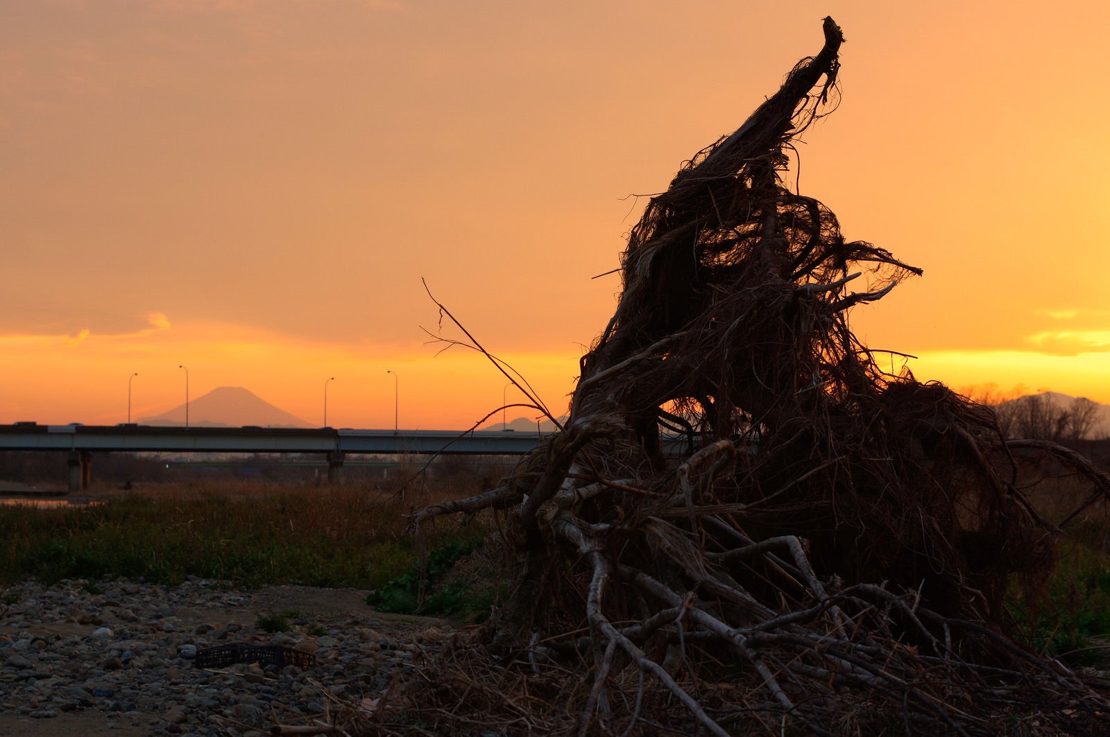 「流木と富士」の写真